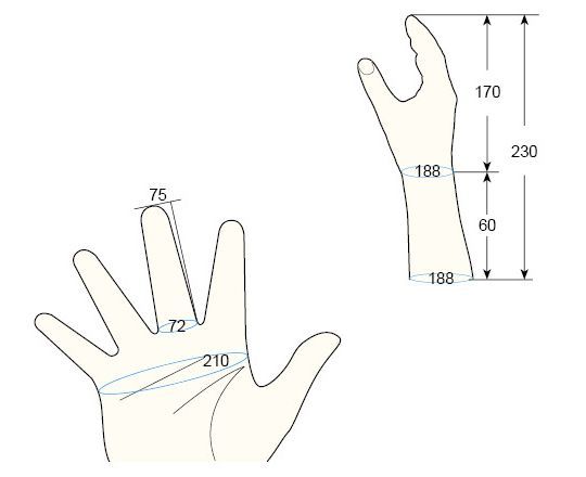 100 Female L right hand regal prosthesis