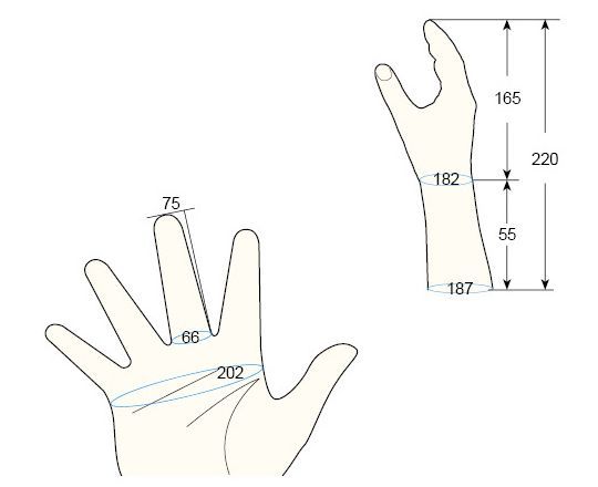 100 Female M right hand regal prosthesis