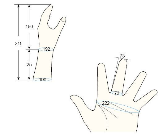 100 Male L left hand regal prosthesis