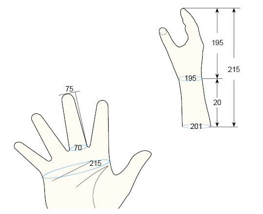 100 Male L right hand regal prosthesis