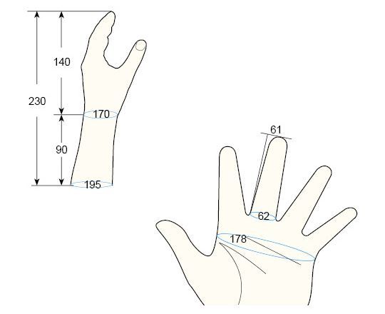 100 Male S Female S left hand regal prosthesis