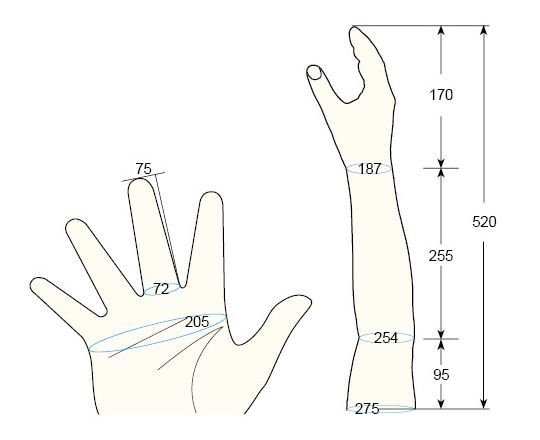 100 L Female L right hand regal prosthesis