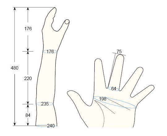 100 L Female M left hand regal prosthesis