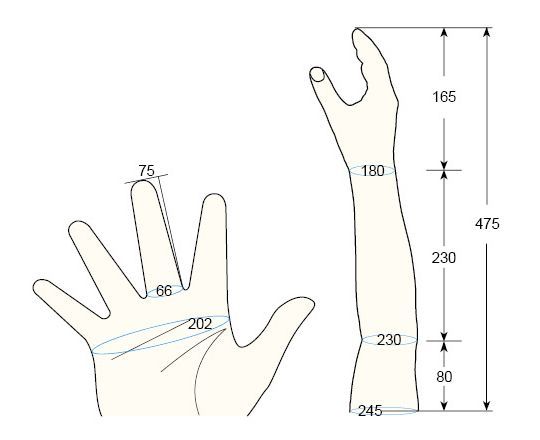100 L Female M right hand regal prosthesis