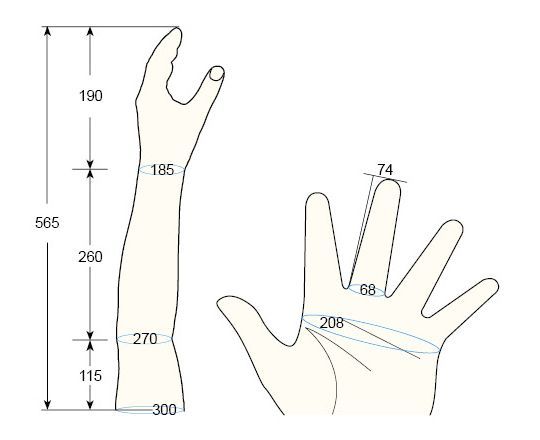 100 L Male L left hand regal prosthesis