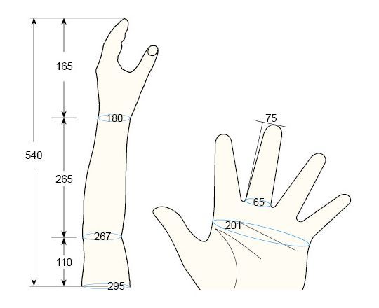 100 L Male M left hand regal prosthesis