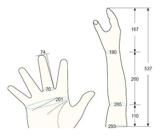 100 L Male M right hand regal prosthesis
