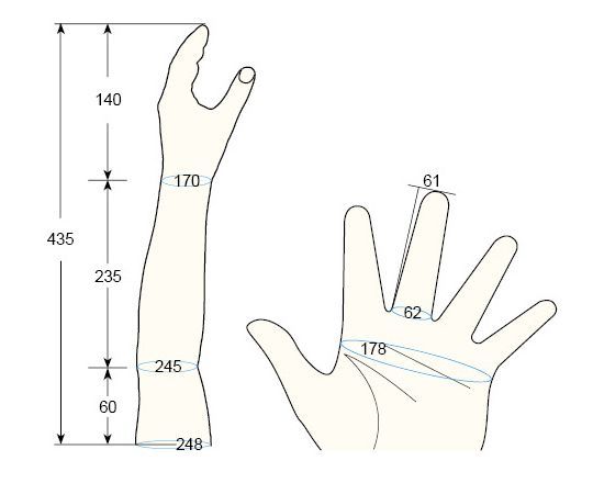 100 L Male S Female S left hand regal prosthesis