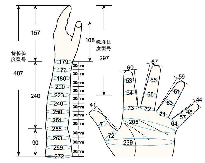 101 L female adult L left measure sc regal prosthesis