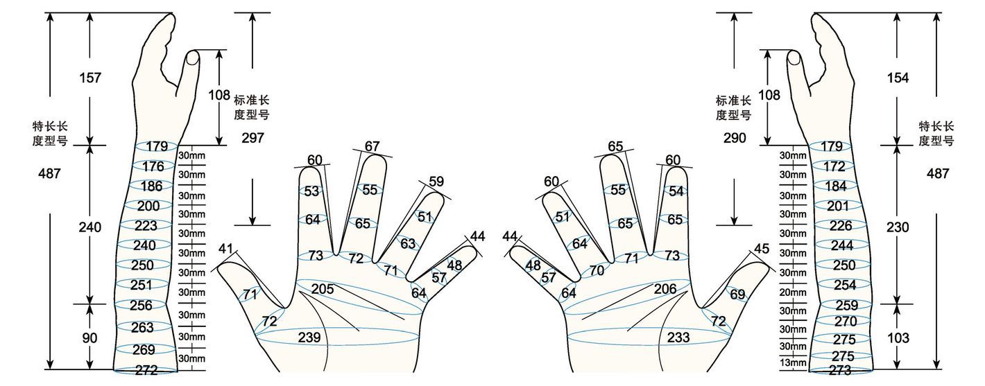 101 L female adult L measure sc regal prosthesis