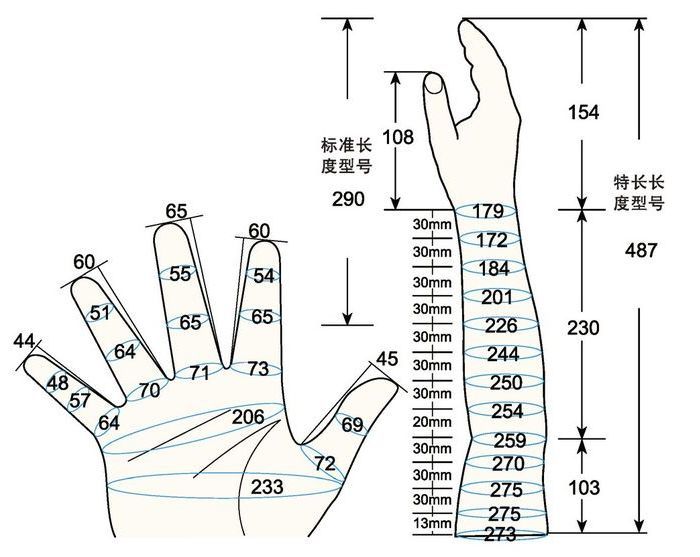 101 L female adult L rig measure sc regal prosthesis