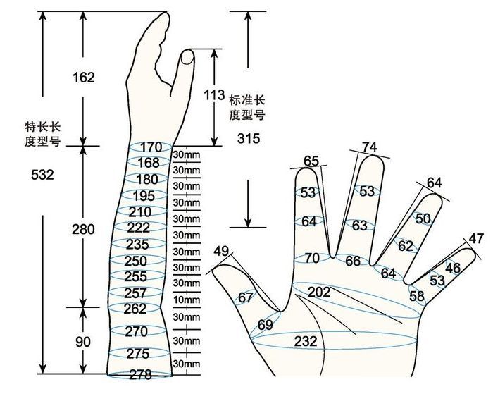 101 L female adult L1 left measure sc regal prosthesis