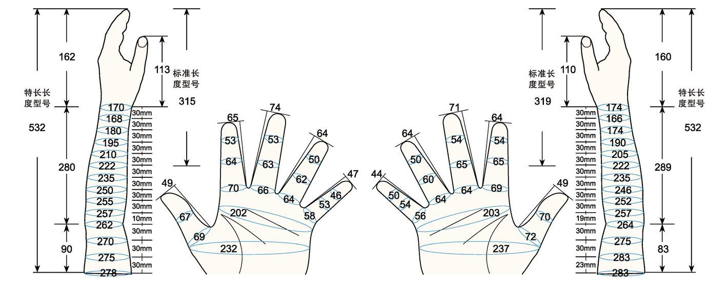 101 L female adult L1 measure sc regal prosthesis