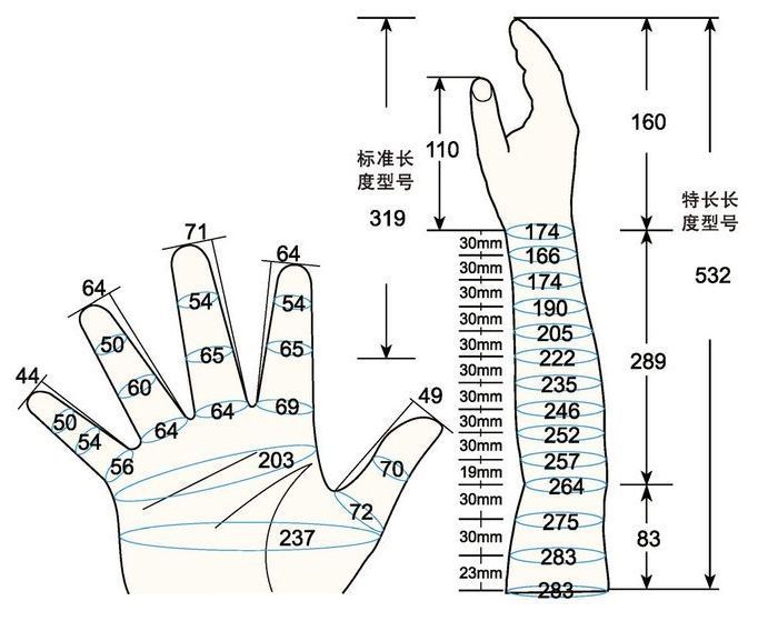101 L female adult L1 rig measure sc regal prosthesis