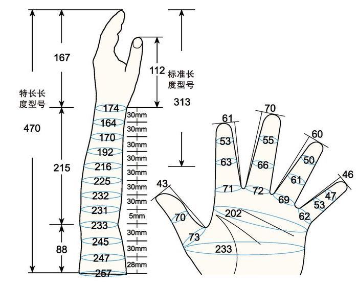 101 L female adult L2 left measure sc regal prosthesis