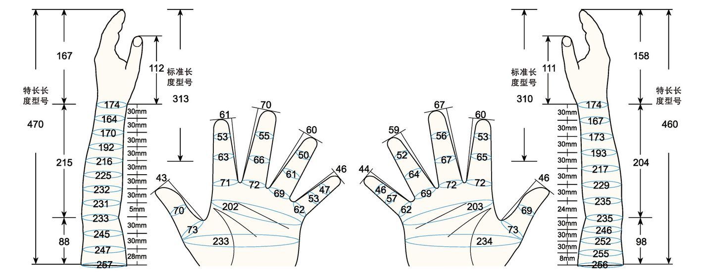 101 L female adult L2 measure sc regal prosthesis