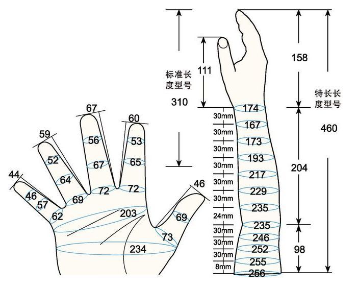 101 L female adult L2 rig measure sc regal prosthesis