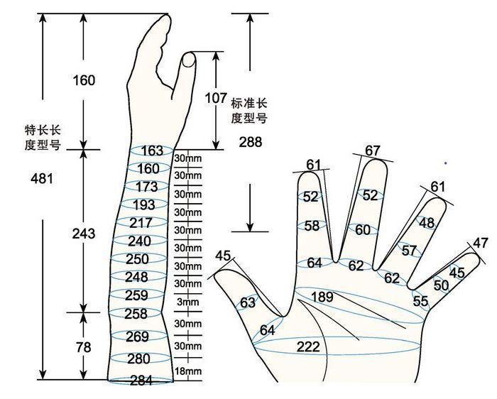 101 L female adult LM left measure sc regal prosthesis
