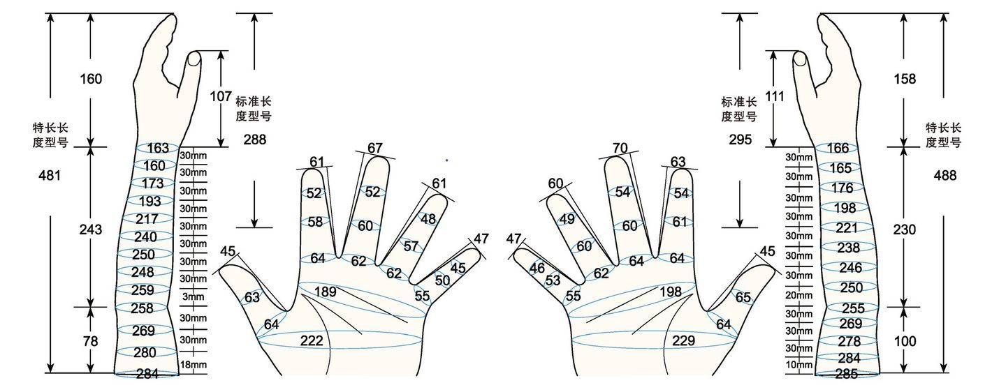 101 L female adult LM measure sc regal prosthesis