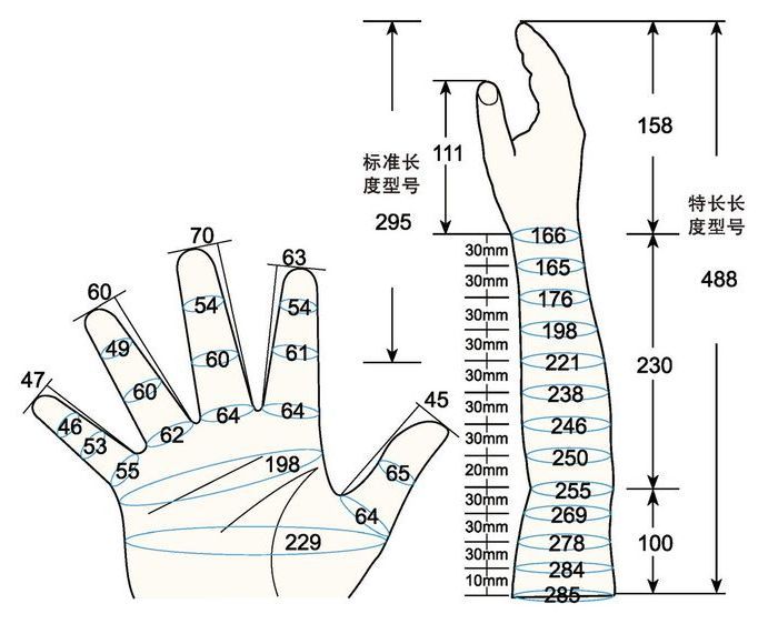 101 L female adult LM rig measure sc regal prosthesis