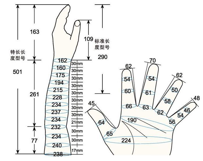 101 L female adult LM1 left measure sc regal prosthesis
