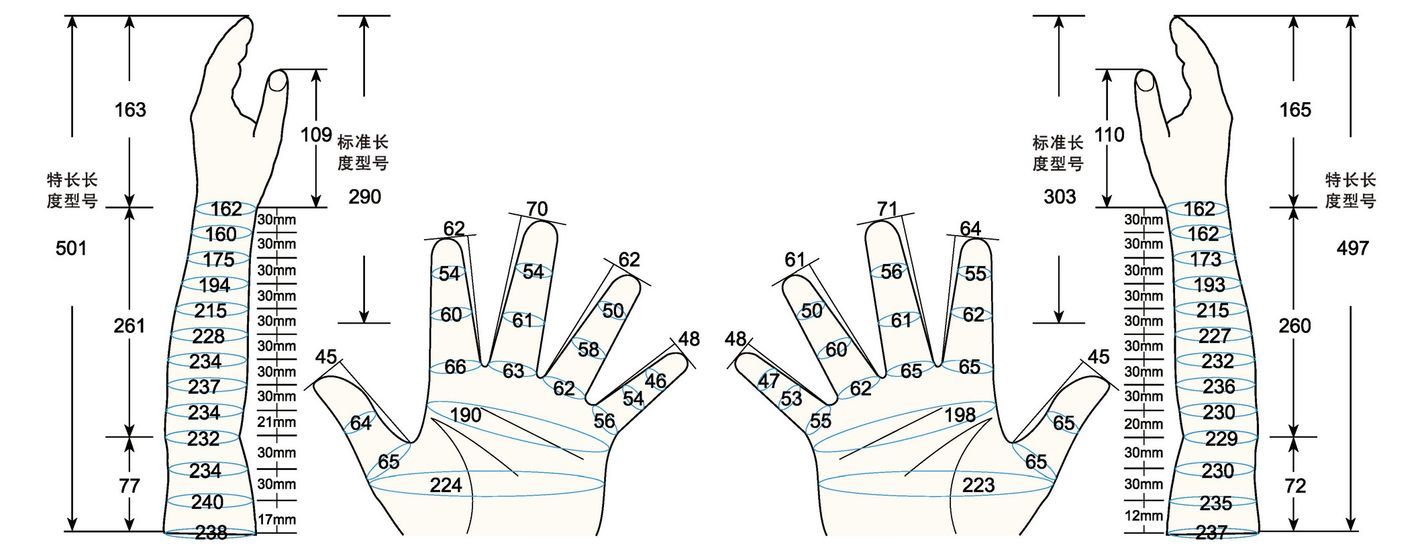 101 L female adult LM1 measure sc regal prosthesis