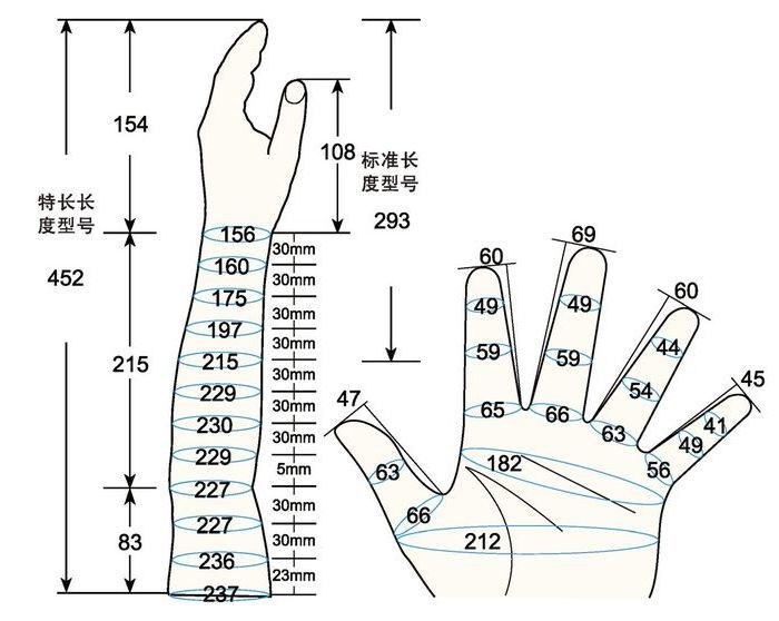 101 L female adult M left measure sc regal prosthesis