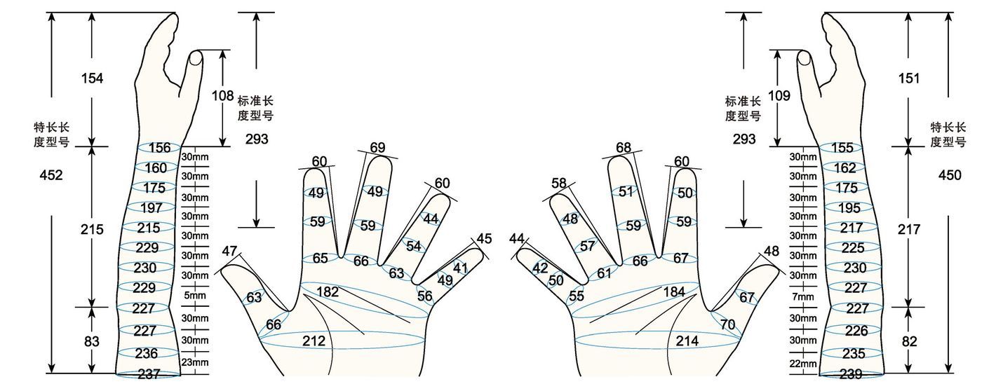 101 L female adult M measure sc regal prosthesis