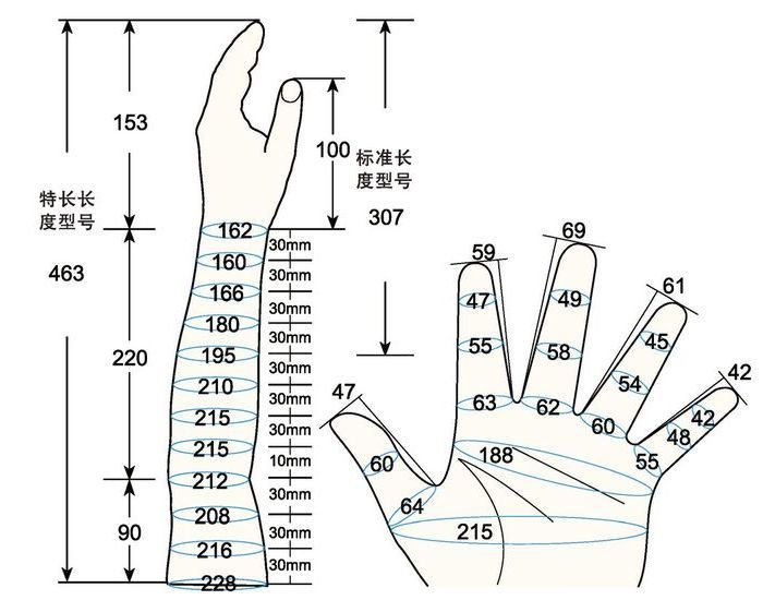 101 L female adult MS left measure sc regal prosthesis