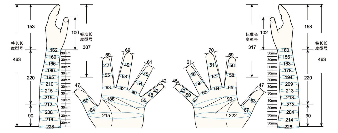 101 L female adult MS measure sc regal prosthesis