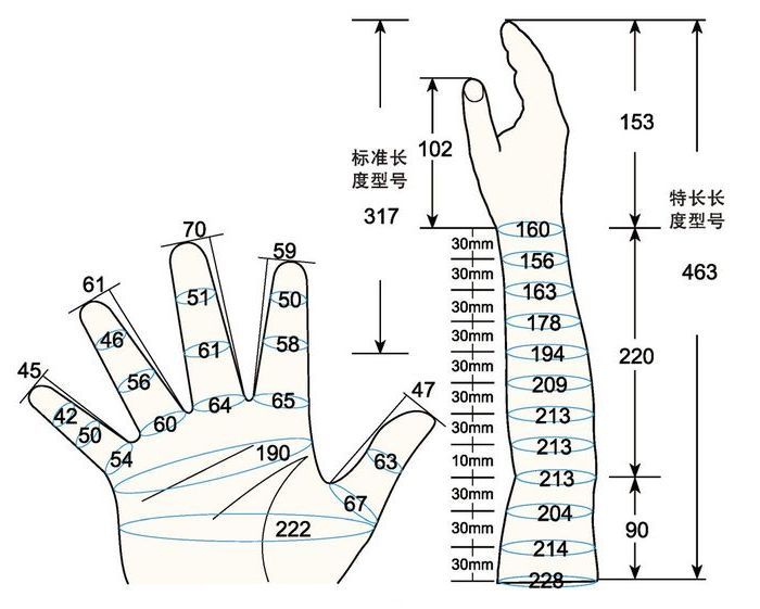 101 L female adult MS rig measure sc regal prosthesis