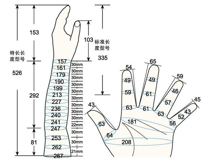 101 L female adult MS2 left measure sc regal prosthesis