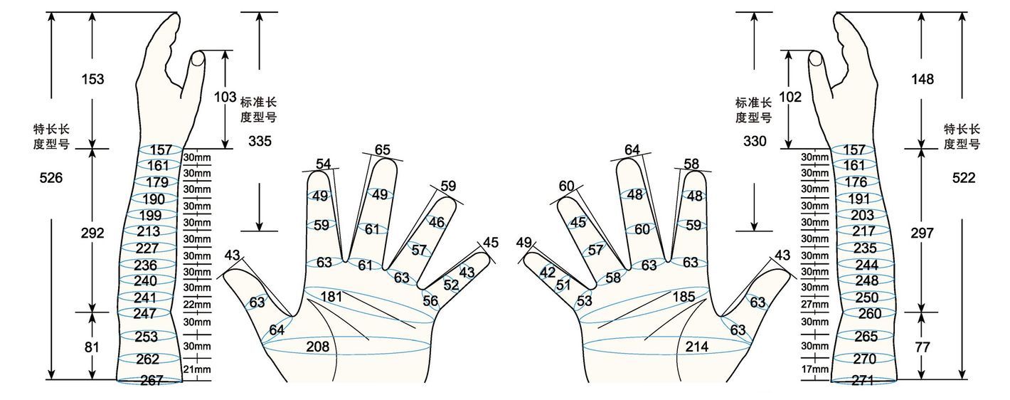 101 L female adult MS2 measure sc regal prosthesis