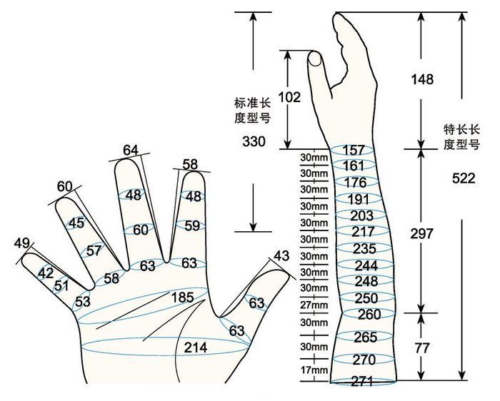 101 L female adult MS2 rig measure sc regal prosthesis