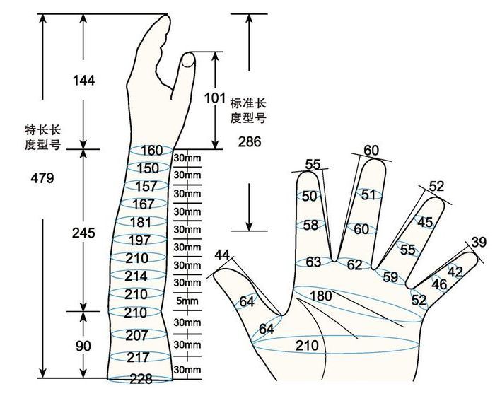 101 L female adult S left measure sc regal prosthesis