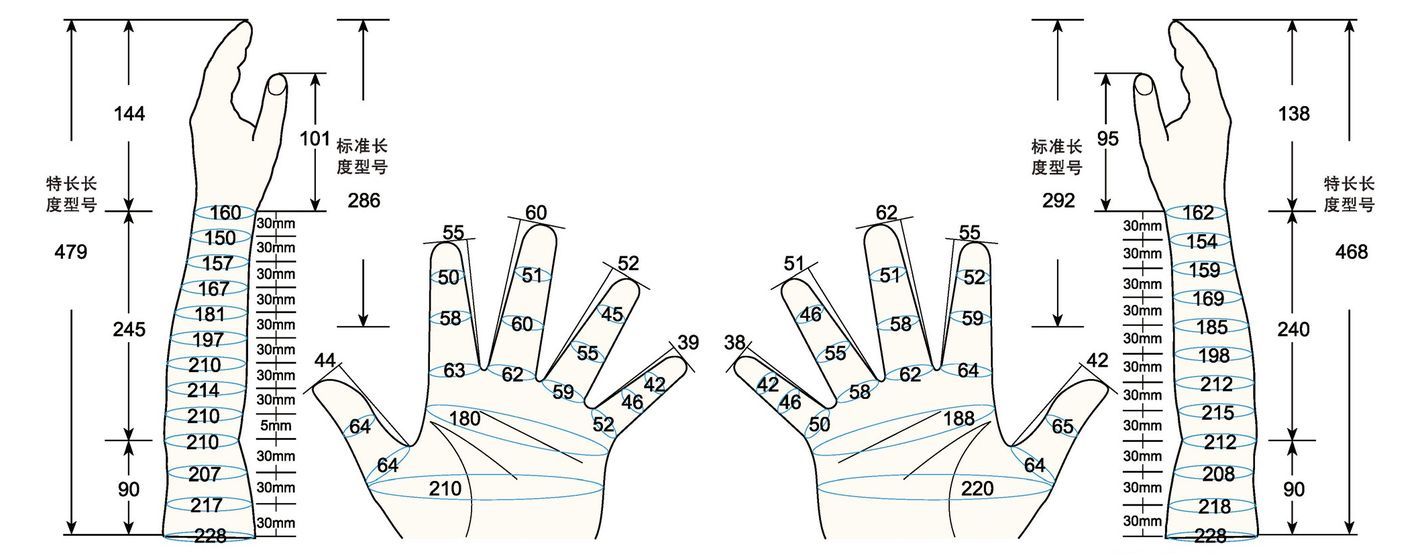 101 L female adult S measure sc regal prosthesis