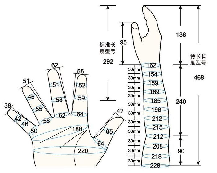 101 L female adult S rig measure sc regal prosthesis