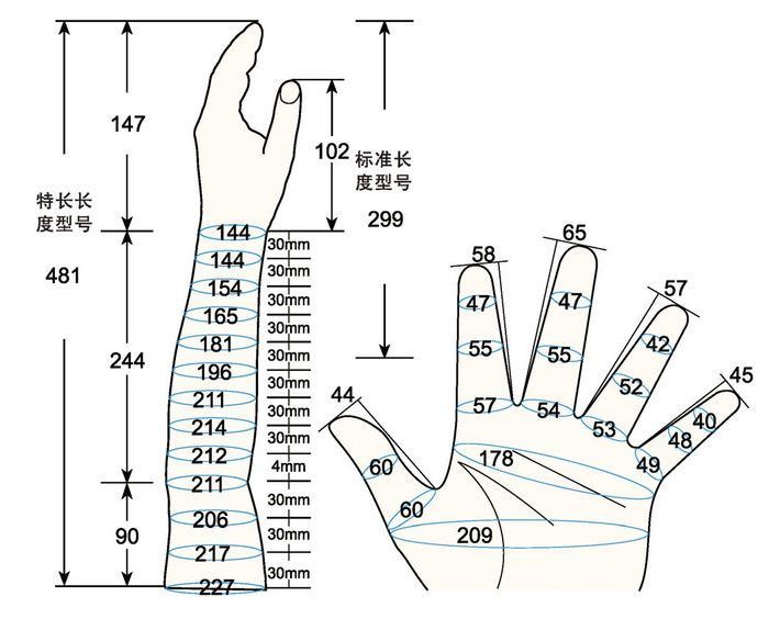 101 L female adult S1 left measure sc regal prosthesis