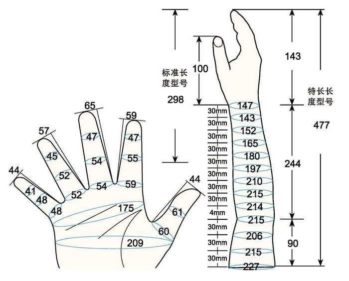 101 L female adult S1 rig measure sc regal prosthesis