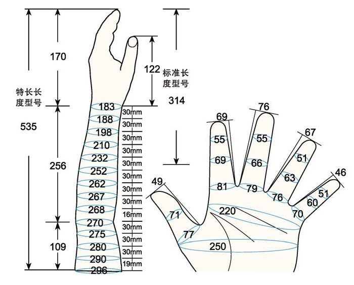 101 L female adult XL left measure sc regal prosthesis