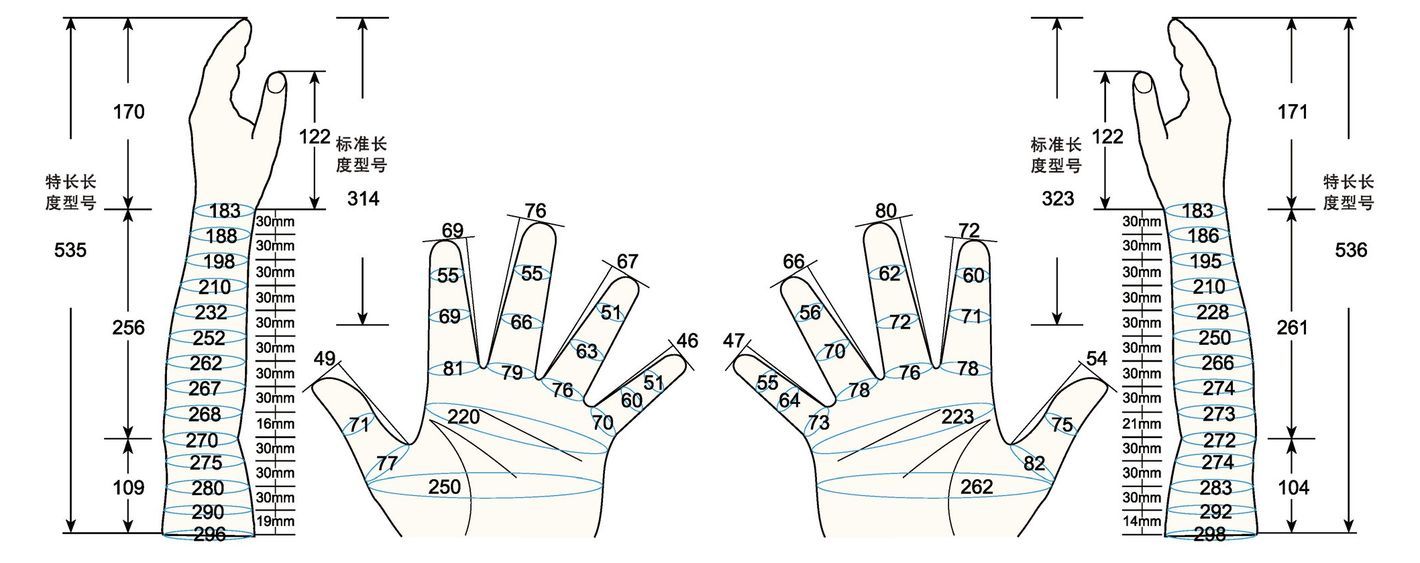 101 L female adult XL measure sc regal prosthesis