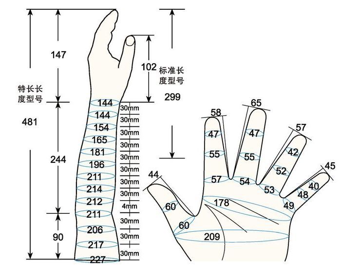 101 L female child L left measure sc regal prosthesis