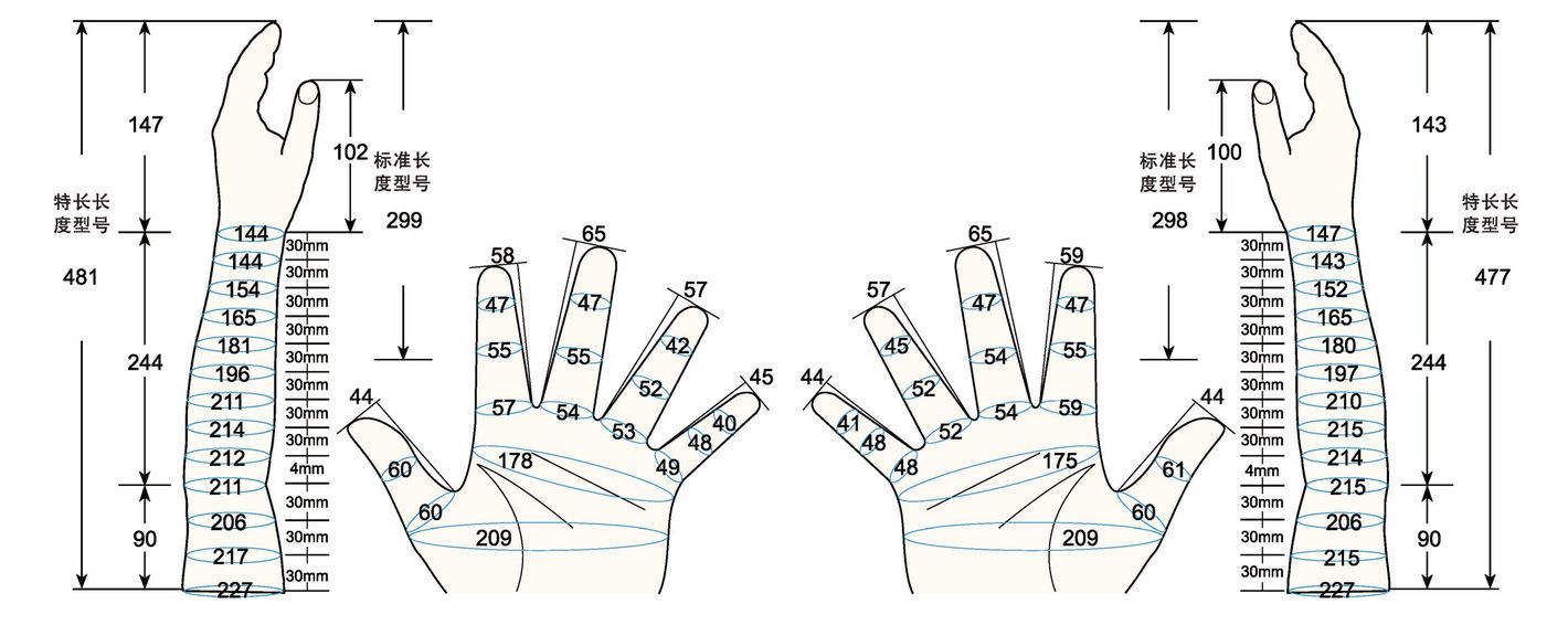 101 L female child L measure sc regal prosthesis