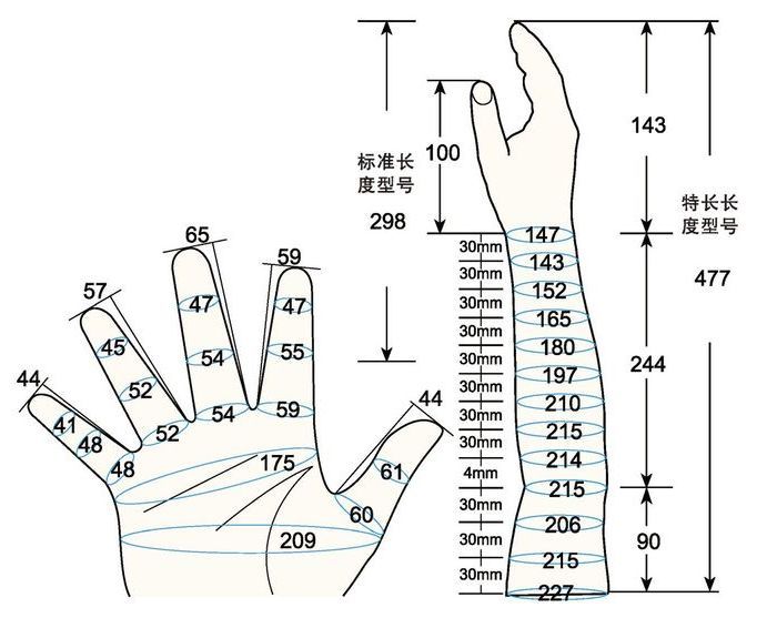 101 L female child L rig measure sc regal prosthesis
