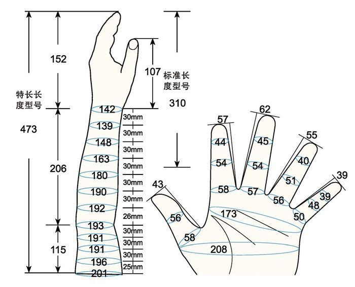 101 L female child M left measure sc regal prosthesis