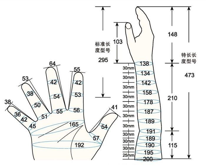 101 L female child M rig measure sc regal prosthesis