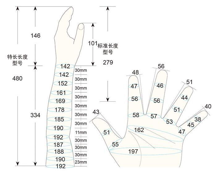 101 L female child M1 left measure sc regal prosthesis