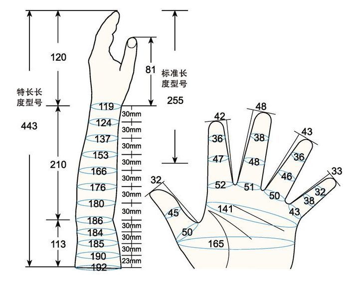 101 L female child S left measure sc regal prosthesis