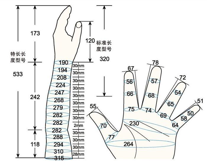 101 L male adult L left measure sc regal prosthesis