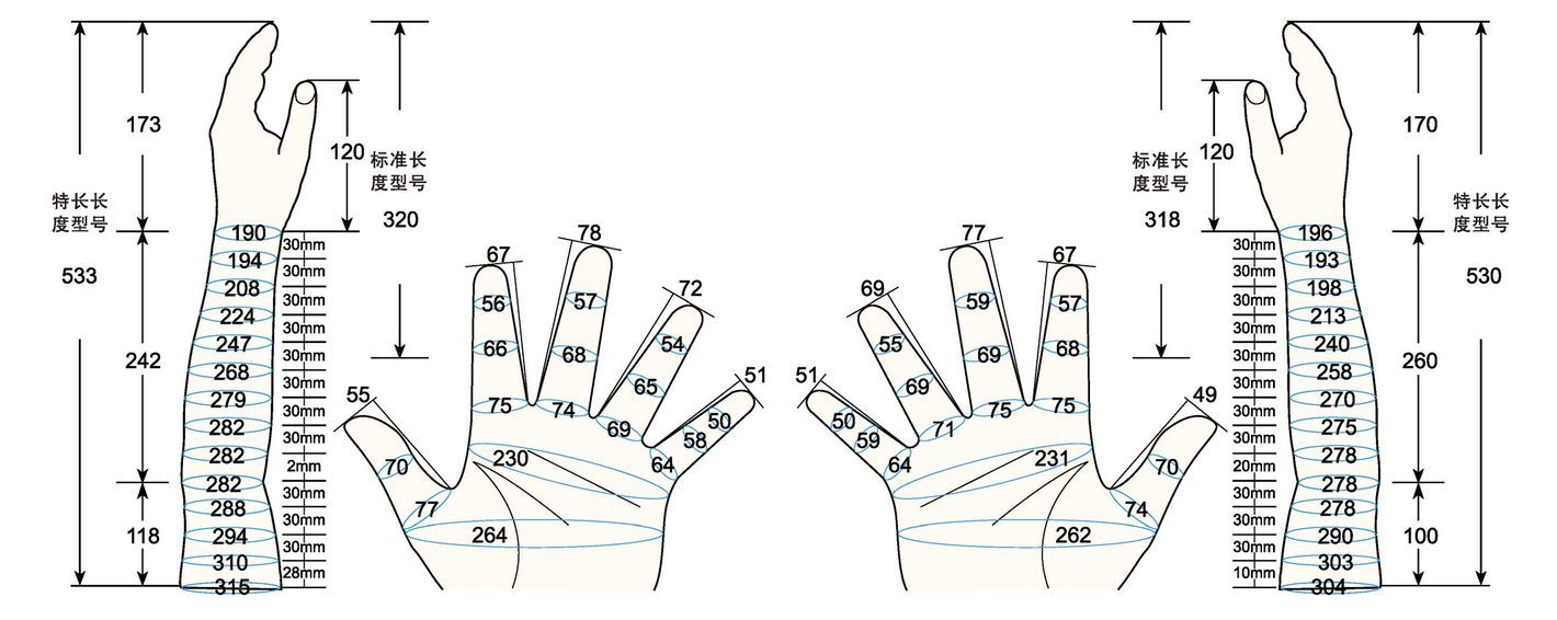 101 L male adult L measure sc regal prosthesis